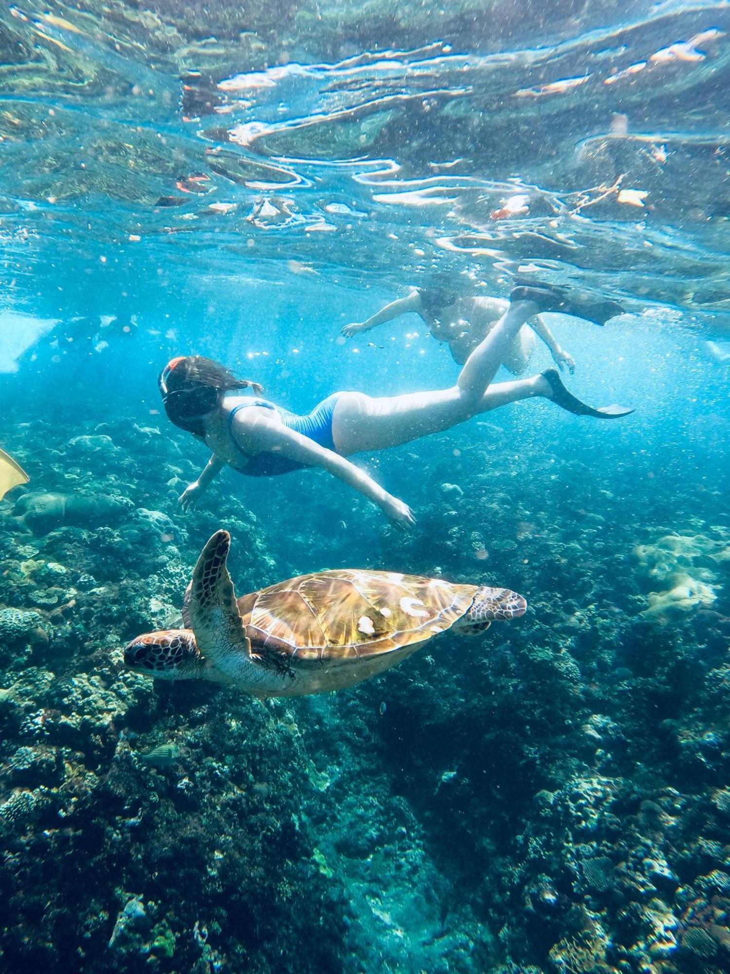 The Edge Lembongan Villa Екстериор снимка